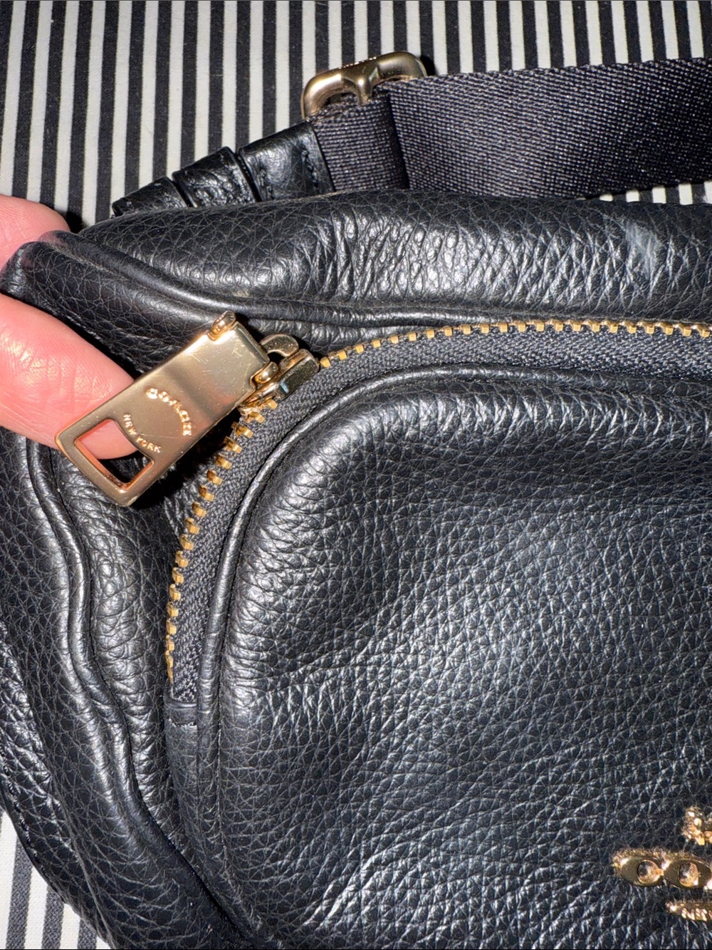 COACH Black Pebbled Leather COURT Belt Bag with Gold Hardware - Picture 2 of 6